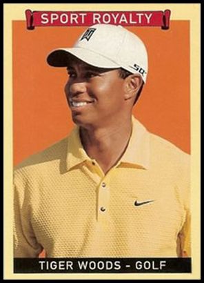 330 Tiger Woods